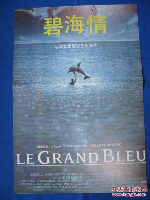 巴西签证真实样板